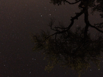 Lights_0013_20200421_003436