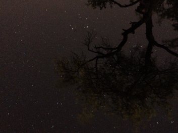 Lights_0004_20200421_003218