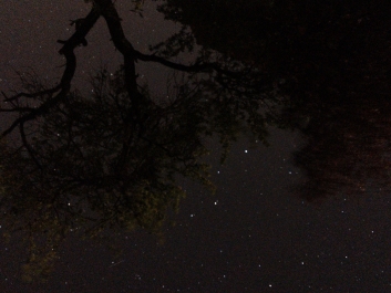 Lights_0017_20200421_002726