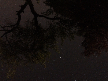 Lights_0005_20200421_002421