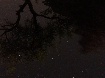 Lights_0004_20200421_002406