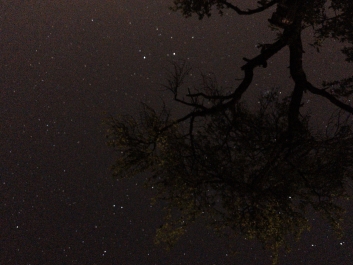 Lights_0003_20200421_003203