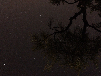 Lights_0016_20200421_003523