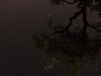 Lights_0006_20200421_003249