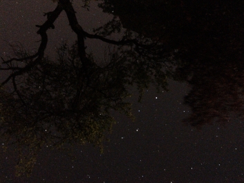 Lights_0002_20200421_002335