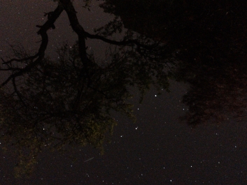 Lights_0016_20200421_002711