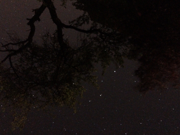 Lights_0006_20200421_002437