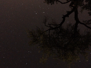 Lights_0019_20200421_003609