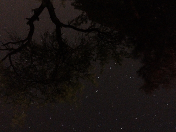 Lights_0018_20200421_002741