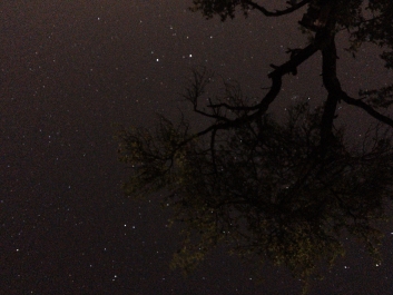 Lights_0015_20200421_003507