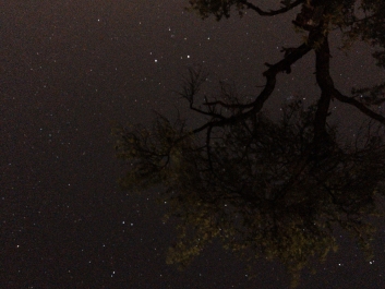 Lights_0009_20200421_003335