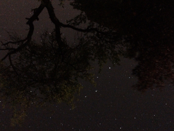 Lights_0015_20200421_002655