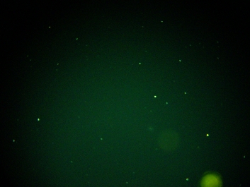 Lights_0001_20200423_214745-M61