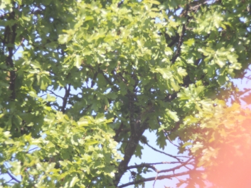 686-astro-canon-18052020