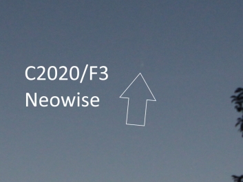 C2020F3 Neowise Ausschnitt